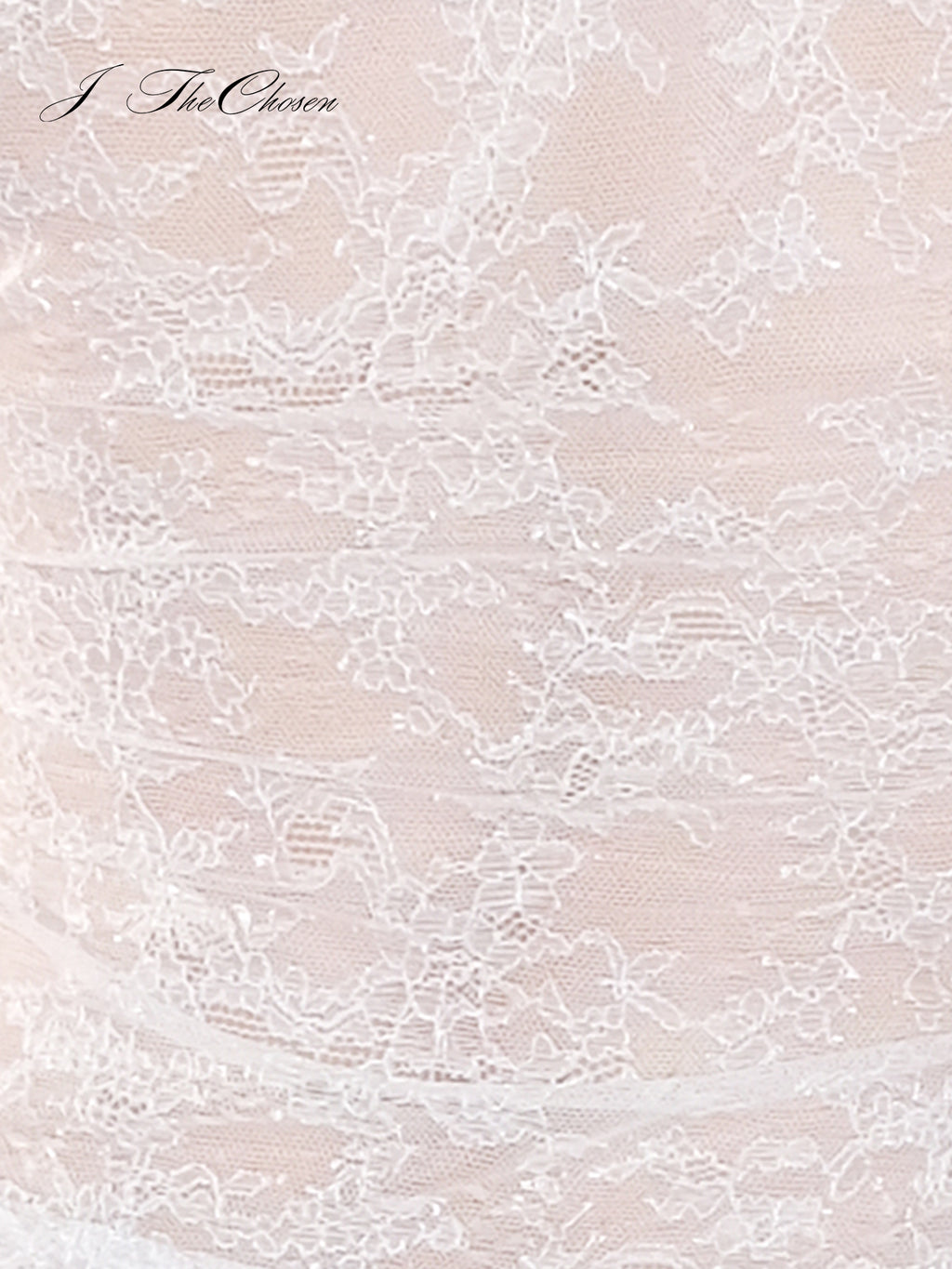 J TheChosen Sequin Knit Lace Blouse with Oversized Collar