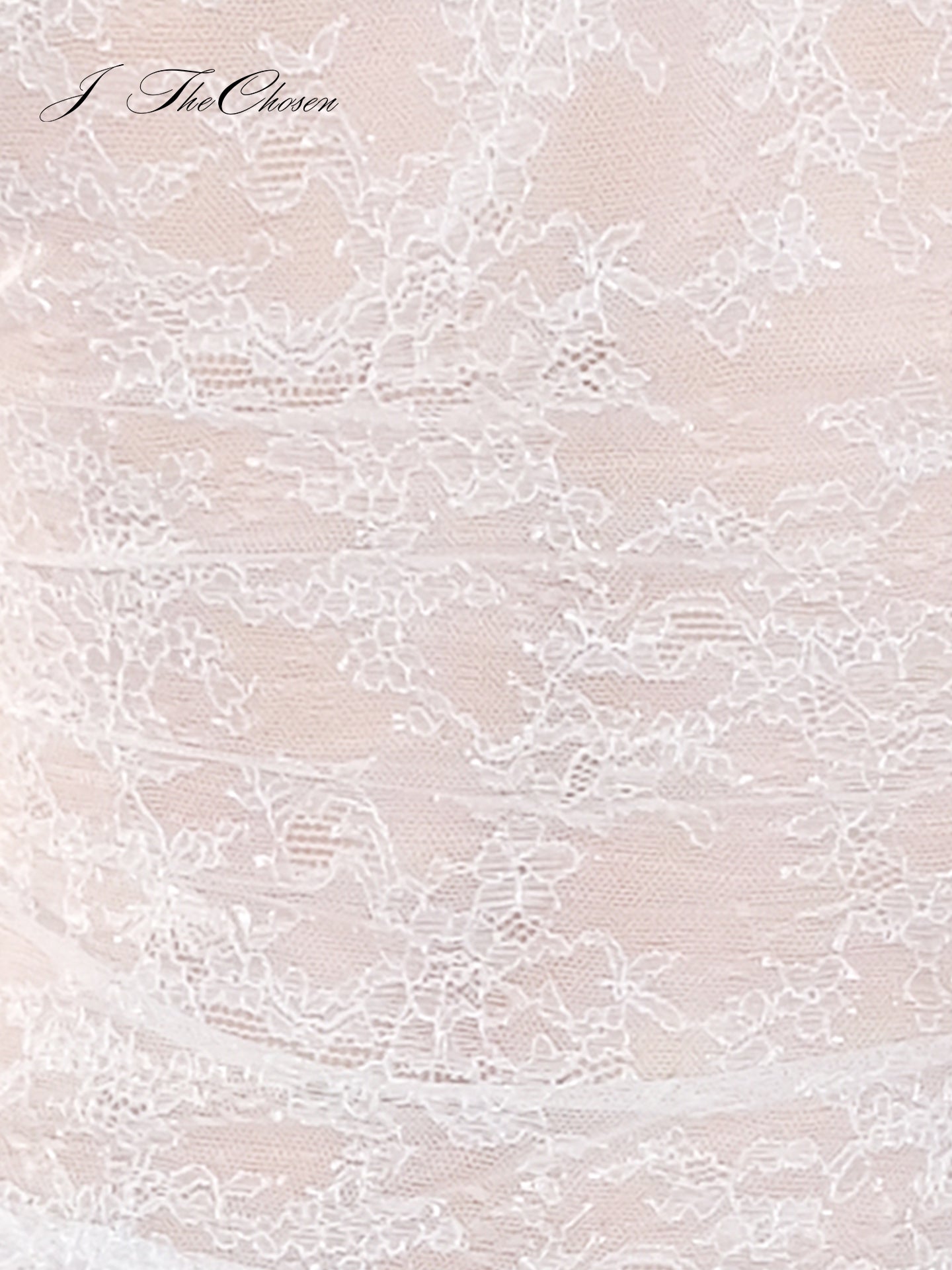 J TheChosen Sequin Knit Lace Blouse with Oversized Collar